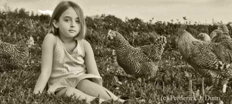 Start Right with Chickens: the Basics for Beginners. Image